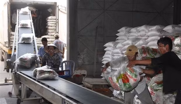 Foto de ilustración. (Fuente: VNA)