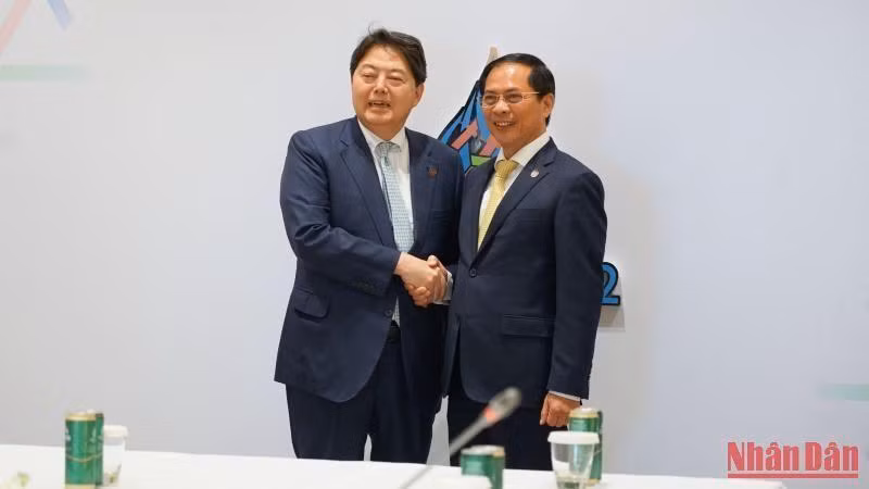 El ministro de Relaciones Exteriores de Vietnam, Bui Thanh Son (derecha), se reúne con su homólogo japonés, Hayashi Yoshimasa. (Fotografía: Nhan Dan)