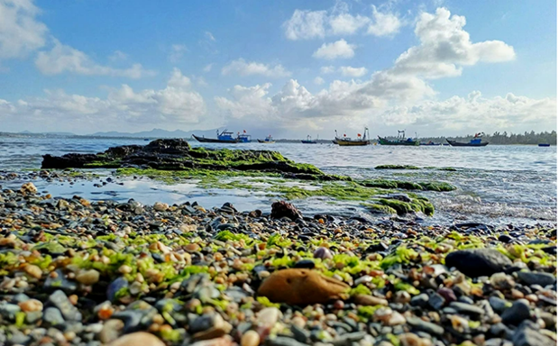 El área comunal de la isla de Tam Hai figura entre las áreas de alta biodiversidad de la provincia de Quang Nam. (Fotografía: Nhan Dan)