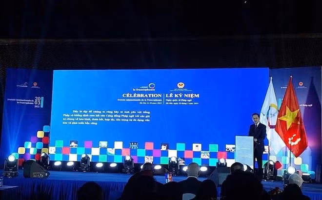 El vicecanciller vietnamita Do Hung Viet interviene en la cita. (Fotografía: VNA)