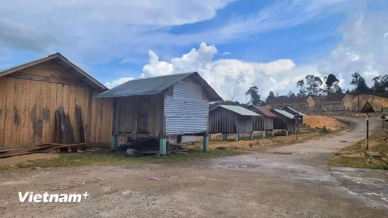 En el distrito de Kon Plong, de la provincia de Kon Tum, en la Altiplanicie Central de Vietnam. (Fotografía: VNA)