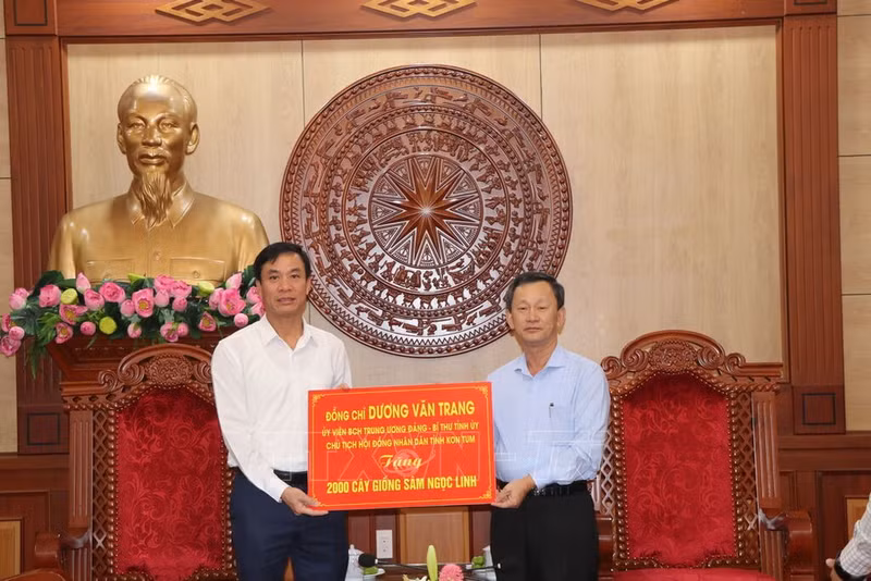 Se entregan dos mil plántulas de ginseng Ngoc Linh a la provincia de Lai Chau. (Fotografía: VNA)