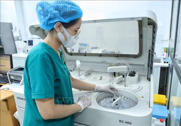 Foto de ilustración. (Fotografía: VNA)