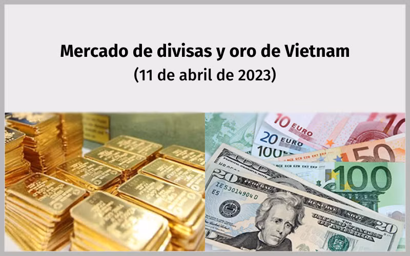 Infografía: Mercado de divisas y oro de Vietnam - 11 de abril de 2023