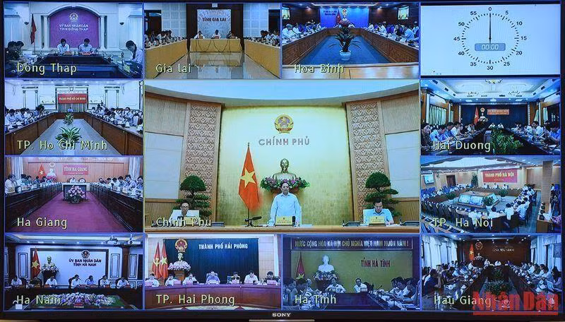 Las localidades participan en línea.