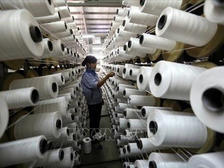 La línea de producción de la empresa KSA Polymer Hanói, con inversión surcoreana, en el Parque Industrial de Thuy Van, provincia de Phu Tho. (Fotografía: VNA)