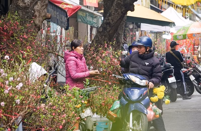 La gente compra plantas ornamentales en ocasión del Tet.