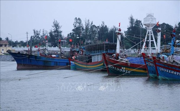 En Quang Binh. (Fotografía: VNA)