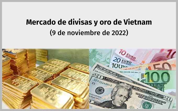 Infografía: Mercado de divisas y oro de Vietnam - 9 de noviembre de 2022