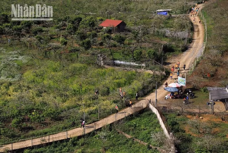 El valle de Na Ka Plum, a unos 16 kilómetros del pueblo de Moc Chau, es uno de los tramos más pintorescos de la carrera.
