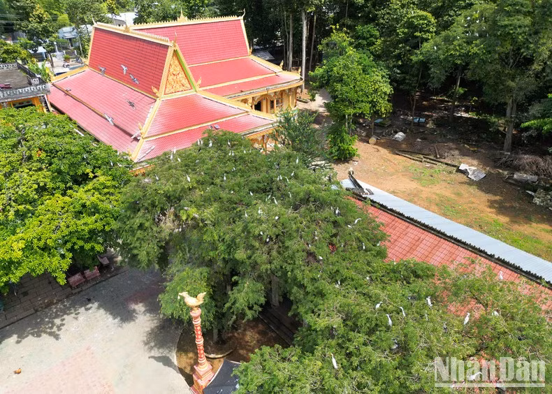 Sobresale no solo por su hermosura añejada por el tiempo, sino también por las numerosas especies de aves que anidan en su recinto y las obras de bellas artes creadas por sus monjes. Sobresale no solo por su hermosura añejada por el tiempo, sino también por las numerosas especies de aves que anidan en su recinto y las obras de bellas artes creadas por sus monjes.