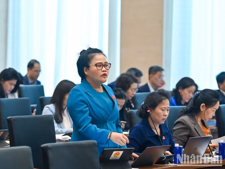 Diputados de las ciudades y provincias aportan opiniones. Diputados de las ciudades y provincias aportan opiniones.