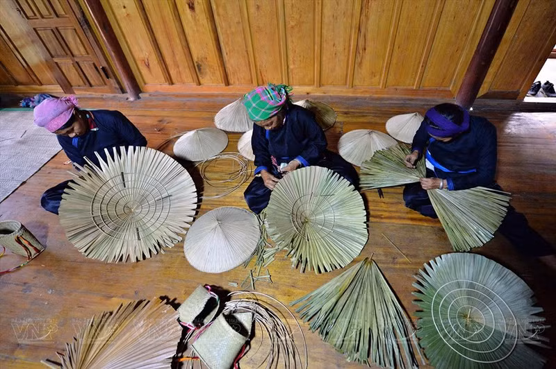 Mujeres de la etnia Tay en la aldea de Lien, distrito de Bac Ha, Lao Cai, se ven familiarizadas con el tejido de sombreros cónicos desde su infancia.