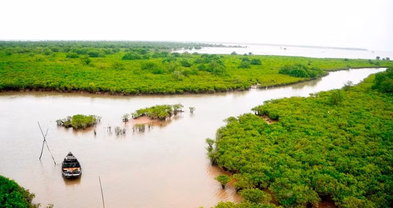 En el Parque Nacional de Xuan Thuy. (Fotografía: Nhan Dan)