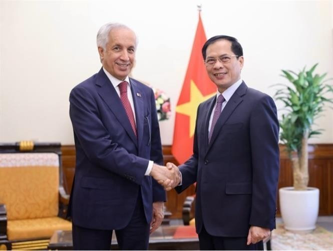 El ministro de Relaciones Exteriores de Vietnam, Bui Thanh Son, y el ministro de Estado para los Asuntos Exteriores de Catar, Soltan bin Saad Al-Muraikhi. (Fotografía: VNA)