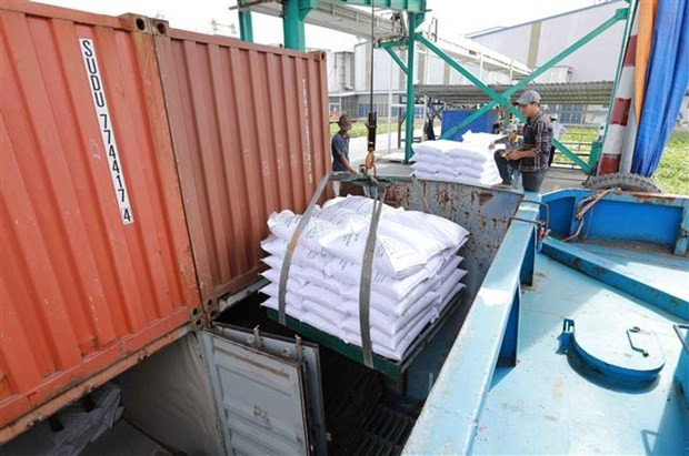 El arroz vietnamita para la exportación. (Fotografía: VNA)