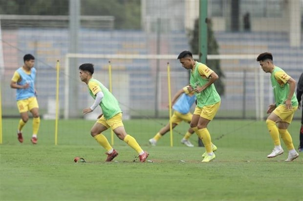 Futbolistas vietnamitas. (Fotografía: VNA)