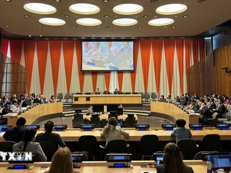 El Consejo Económico y Social de las Naciones Unidas (ECOSOC) eligió el 9 de abril a Vietnam como miembro del Consejo Ejecutivo de la Entidad de la ONU para la Igualdad de Género y el para el período 2025-2027. (Fuente:VNA)