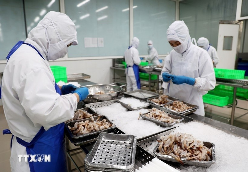Foto de ilustración. Procesamiento de productos del mar para exportación en la compañía COFIDEC, Ciudad Ho Chi Minh. (Fuente: VNA)