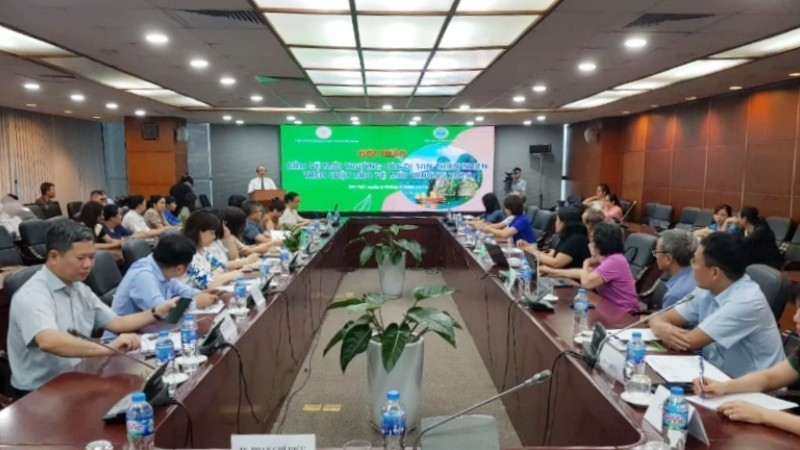 Panorama del seminario. 