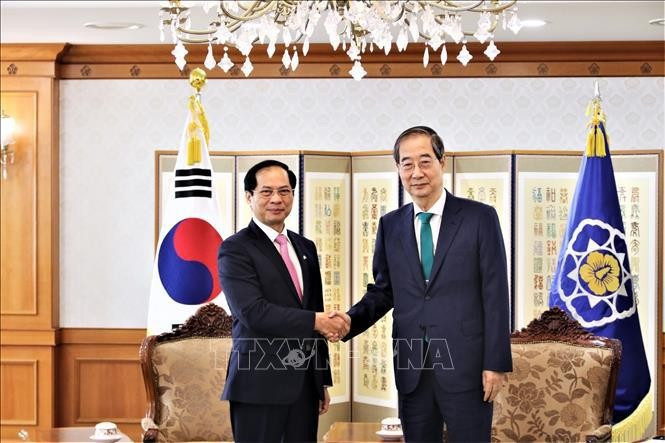 El canciller de Vietnam, Bui Thanh Son, se recibe por el primer ministro surcoreano, Han Duck-soo. (Fuente:VNA)