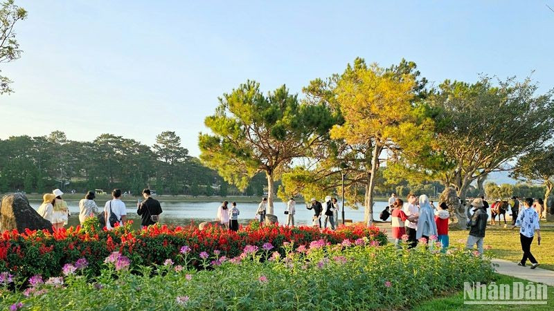 Aumenta turismo en Da Lat durante feriados del Año Nuevo Lunar 