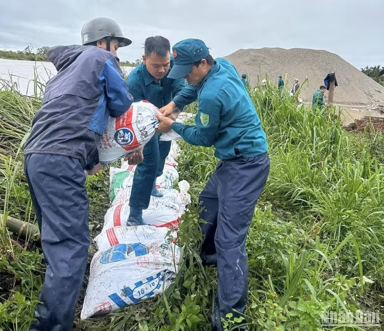 Pobladores del distrito de Quynh Phu colocan sacos de arena para proteger la zona de acuicultura fuera del dique del río Hoa.