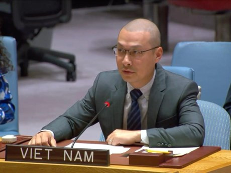 El ministro consejero Nguyen Hoang Nguyen, encargado de negocios de la misión permanente de Vietnam ante la ONU (Foto: VNA)