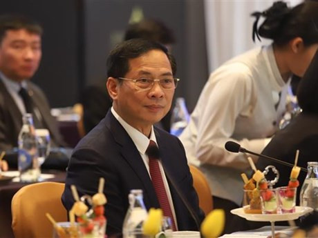 El canciller vietnamita Bui Thanh Son en la quinta reunión del Comité Conjunto de Cooperación Bilateral Vietnam-Tailandia (Fuente:VNA)
