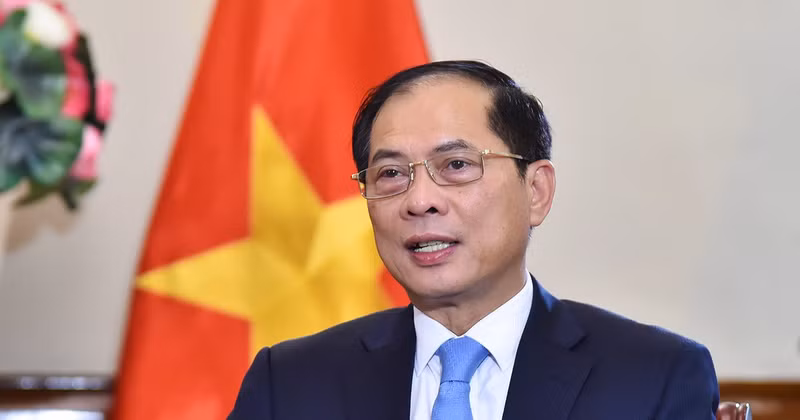 El viceprimer ministro y canciller vietnamita, Bui Thanh Son (Fuente: VNA)