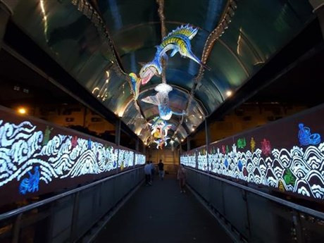 El puente peatonal Tran Nhat Duat de Hanói iluminado por la noche. (Foto: VNA)