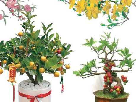 Flores y plantas típicas del Tet (Año Nuevo Lunar)