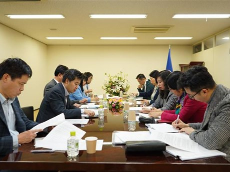 La vicecanciller Le Thi Thu Hang presidió un debate con expertos e intelectuales vietnamitas en Japón. (Foto: VNA)
