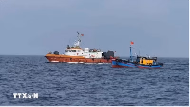 Fuerzas pertinentes de Vietnam realiza control de barcos pesqueros en el mar. (Fuente: VNA)