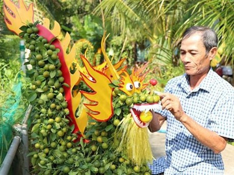 Un árbol de kumquat con forma de dragón (Foto: VNA)