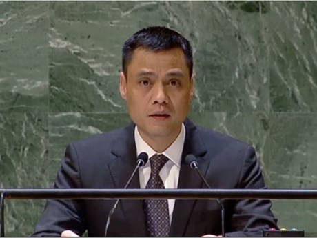 El embajador Dang Hoang Giang, jefe de la Misión Permanente de Vietnam ante la Organización de las Naciones Unidas (ONU).