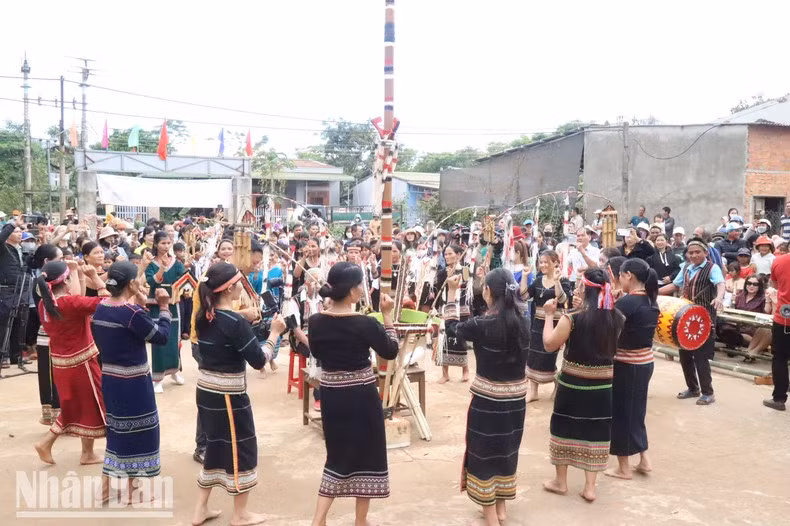 Todos se toman de la mano y bailan alrededor del árbol de neu.