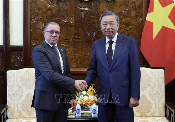 El presidente vietnamita, To Lam, y el embajador de Colombia en Vietnam, Miguel Angel Rodriguez Melo. (Fuente:VNA)