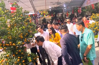 Hanói celebra Festival de flores, árboles ornamentales y productos OCOP 