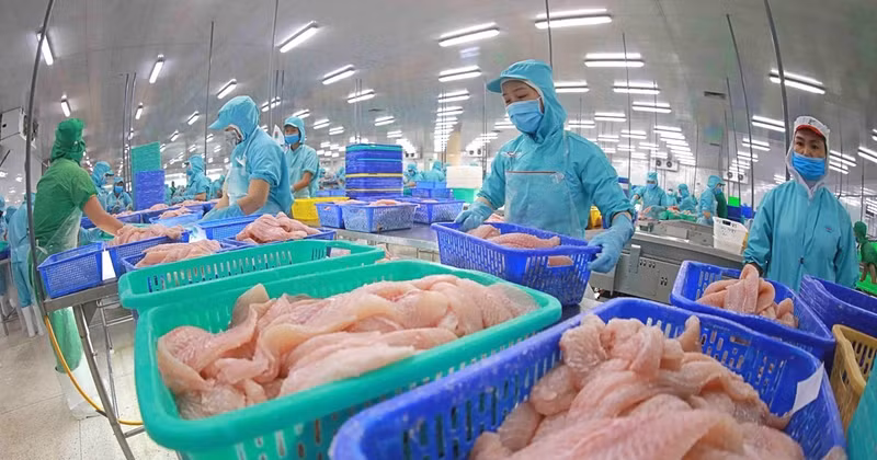 Foto de ilustración. (Fuente: Internet)