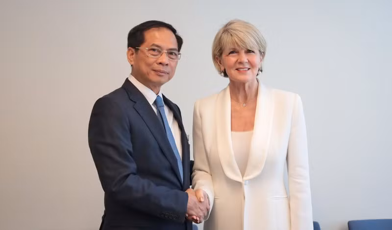 El vicepremier y canciller vietnamita Bui Thanh Son y la enviada especial del Secretario General de la ONU para Myanmar, Julie Bishop (Fuente: VNA)