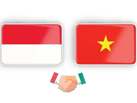 Asociación estratégica Vietnam-Indonesia