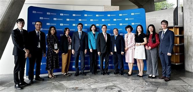 La delegación de Vietnam, encabezada por el vicecanciller Ha Kim Ngoc, en la reunión. (Foto: VNA)