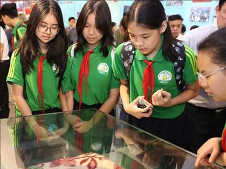 Los estudiantes en la exhibición (Fuente: VNA) 