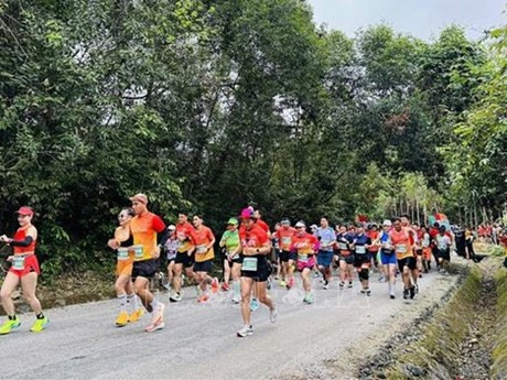 En la carrera (Foto: VNA)