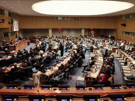 El panorama de la reunión. (Fuente: VNA)