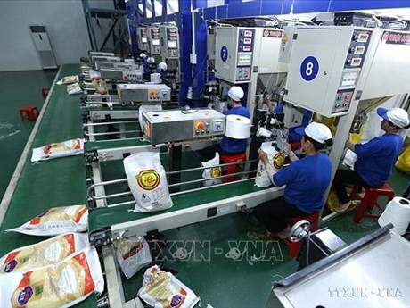 Línea de envasado de arroz para exportación en una fábrica en la ciudad sureña de Can Tho (Foto: VNA)