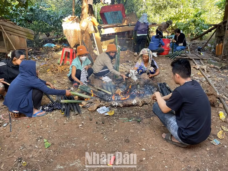 Desde las primeras luces del amanecer, la gente de la aldea de H'rinh se reúne para preparar ofrendas dedicadas a los dioses del cielo y la tierra y a los antepasados.
