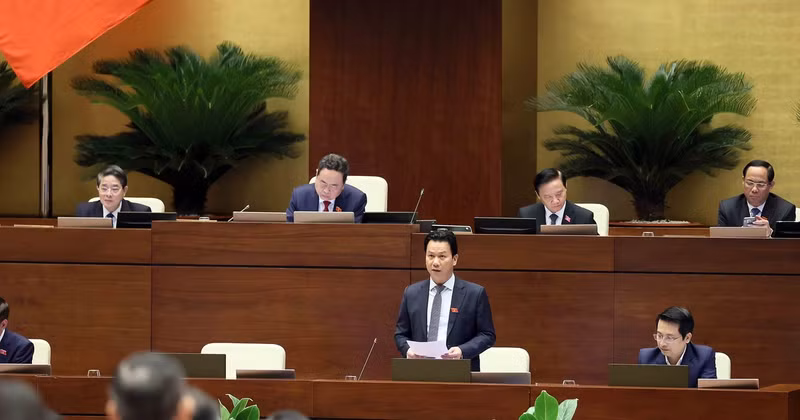 El ministro vietnamita de Recursos Naturales y Medio Ambiente, Dang Quoc Khanh, interviene en la sesión. (Foto: VNA)