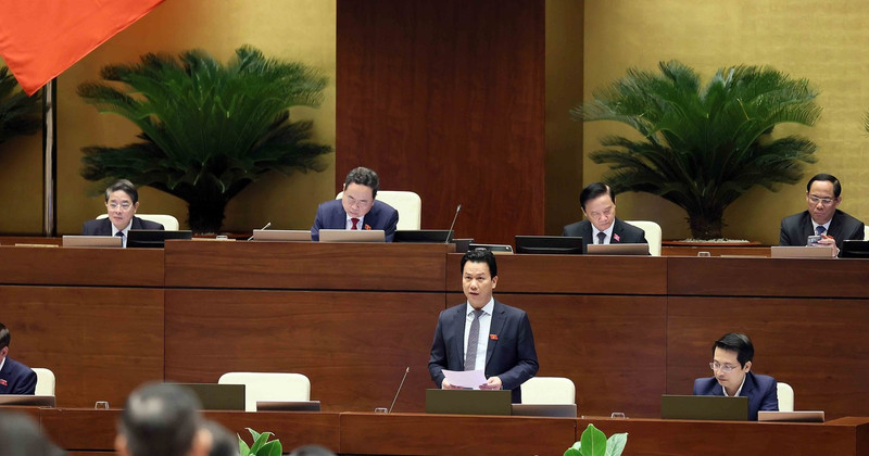 El ministro vietnamita de Recursos Naturales y Medio Ambiente, Dang Quoc Khanh, interviene en la sesión. (Foto: VNA)